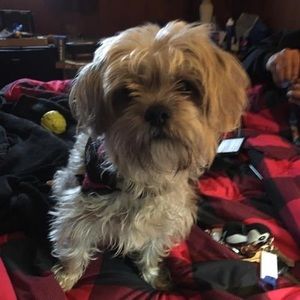 Meet your Posher, Carrie